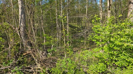 Somerset, KY 42501 Pulaski County