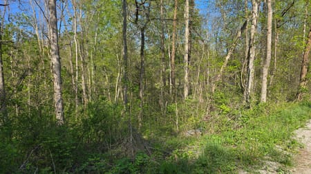 Somerset, KY 42501 Pulaski County