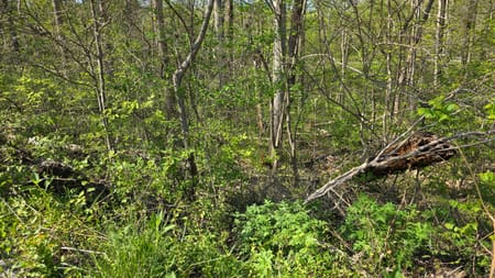 Somerset, KY 42501 Pulaski County
