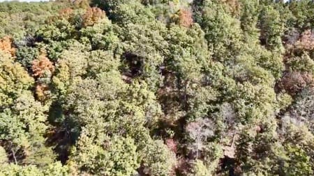 Hustonville, KY 40437 Lincoln County
