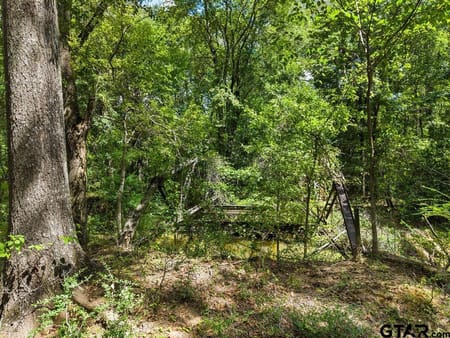 Palestine, TX 75803 Anderson County