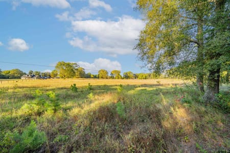 Hallsville, TX 75650 Harrison County