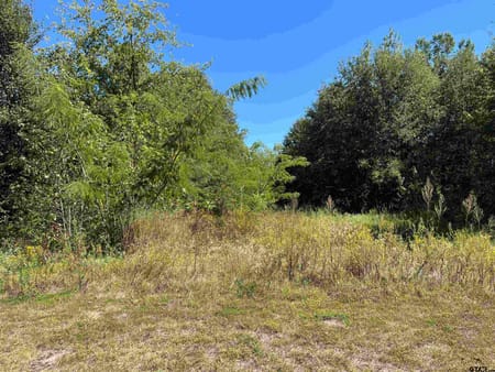 Mt Pleasant, TX 75455 Titus County