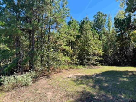 Mt Pleasant, TX 75455 Titus County