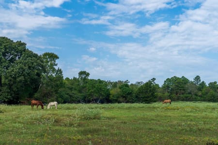 Gladewater, TX 75647 Gregg County