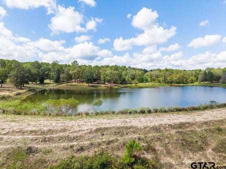 Palestine, TX 75803 Anderson County