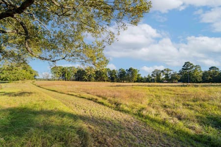 Hallsville, TX 75650 Harrison County