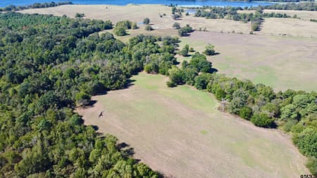Mt Pleasant, TX 75455 Titus County