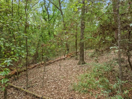 Frankston, TX 75763 Anderson County