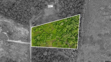 Hallsville, TX 75650 Harrison County