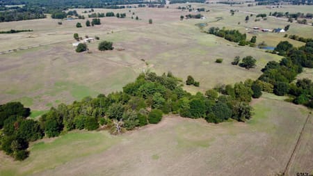 Mt Pleasant, TX 75455 Titus County