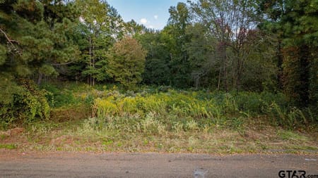 Longview, TX 75604 Gregg County