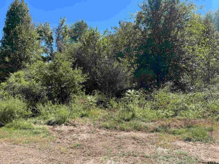 Mt Pleasant, TX 75455 Titus County