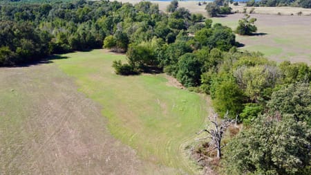 Mt Pleasant, TX 75455 Titus County