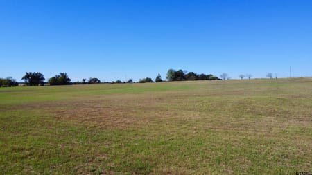 Mt Pleasant, TX 75455 Titus County