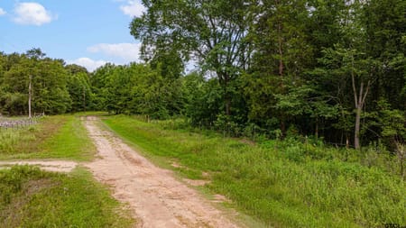 Hallsville, TX 75650 Harrison County