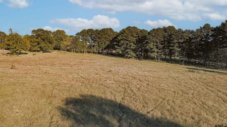Hallsville, TX 75650 Harrison County