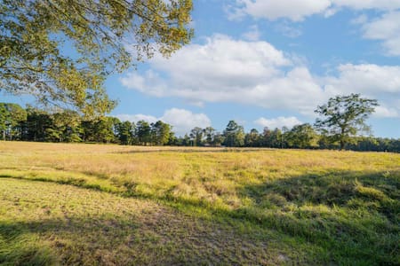 Hallsville, TX 75650 Harrison County