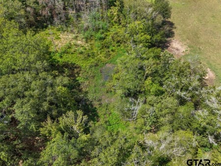 Palestine, TX 75803 Anderson County