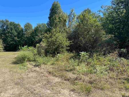 Mt Pleasant, TX 75455 Titus County