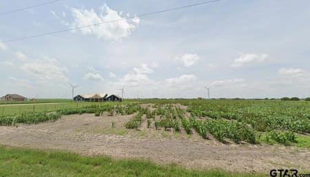 Lyford, TX 78569 Willacy County