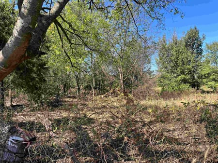 Mt Pleasant, TX 75455 Titus County