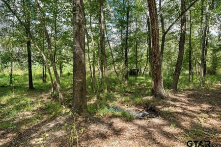 Palestine, TX 75803 Anderson County