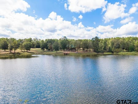 Palestine, TX 75803 Anderson County