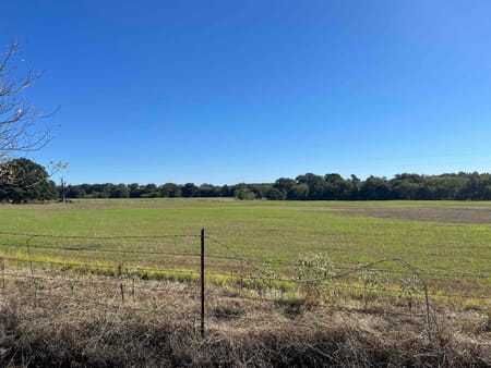 Mt Pleasant, TX 75455 Titus County