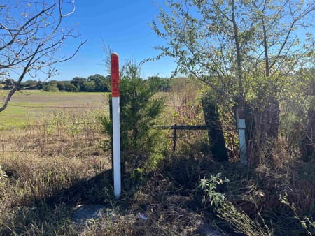 Mt Pleasant, TX 75455 Titus County
