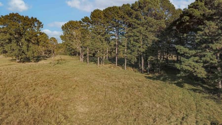 Hallsville, TX 75650 Harrison County