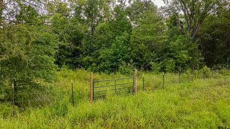 Hallsville, TX 75650 Harrison County