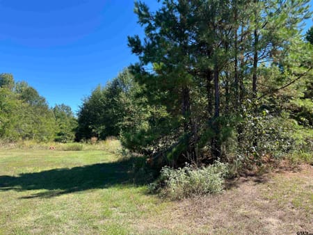 Mt Pleasant, TX 75455 Titus County