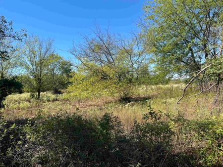 Mt Pleasant, TX 75455 Titus County