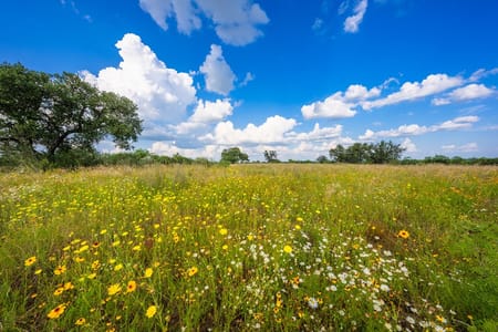 Castell, TX 76831 Llano County
