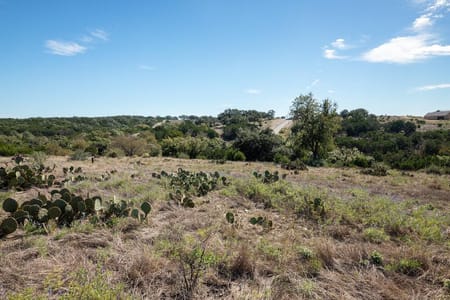 Kerrville, TX 78028 Gillespie County