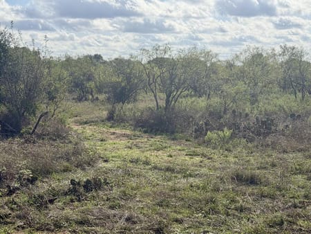 Mason, TX 76856 Mason County