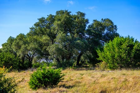 Fredericksburg, TX 78624 Gillespie County