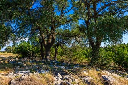 Fredericksburg, TX 78624 Gillespie County