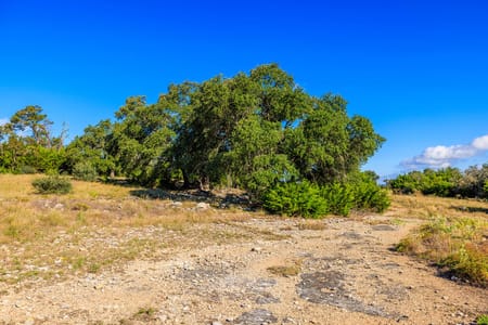 Fredericksburg, TX 78624 Gillespie County