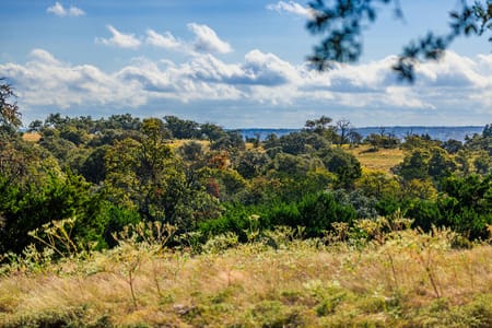 Fredericksburg, TX 78624 Gillespie County