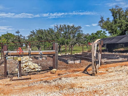 Sisterdale, TX 78006 Kendall County