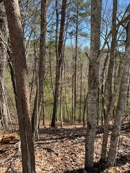 Ellijay, GA 30540 Gilmer County
