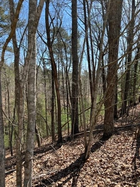 Ellijay, GA 30540 Gilmer County