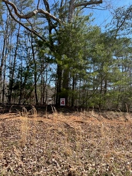 Ellijay, GA 30540 Gilmer County