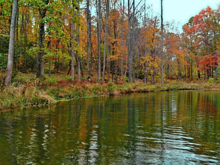Cleveland, GA 30528 White County