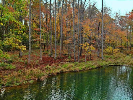 Cleveland, GA 30528 White County