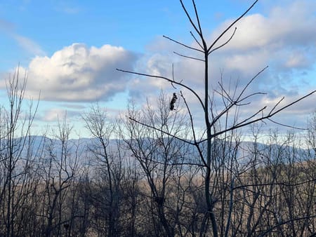Cleveland, GA 30528 White County
