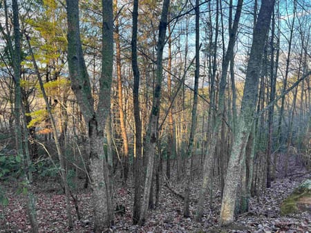 Cleveland, GA 30528 White County