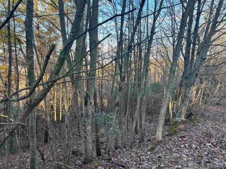 Cleveland, GA 30528 White County